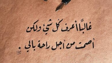 عبارات جميلة جدا ومؤثرة