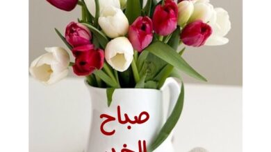 عبارات صباح الخير جميله