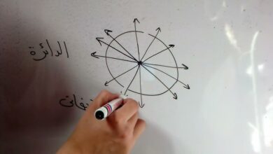 عدد محاور تماثل نصف دائره