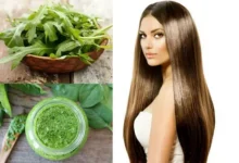 فوائد الوسمه للشعر وصفاتها