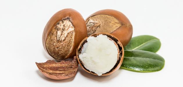 فوائد زبدة الشيا للمناطق الحساسة