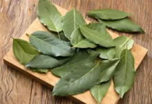 فوائد ورق الغار للشعر