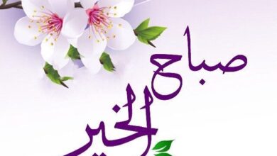 أجمل عبارات صباح الخير