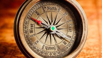 اختبار البوصلة الشخصية فوز عالم أنثوي