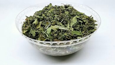 تجربتي مع عشبة المدينة للحمل