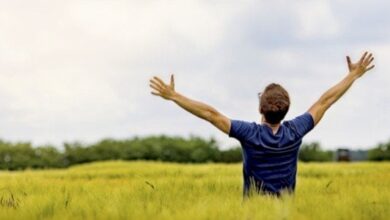 حكمة اليوم عن الحياة