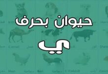 حيوان بحرف ي