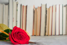 روايات صعيديه رومانسية