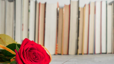 روايات صعيديه رومانسية