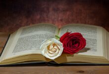 رواية شيخ في محراب قلبي