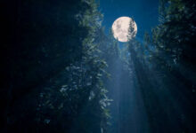 صور مساء الخير