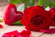 صور ورود رومانسية