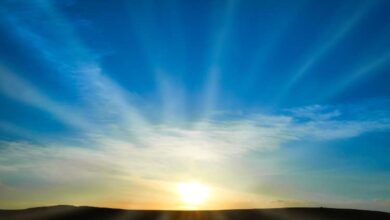 عبارات جميلة عن الحياة