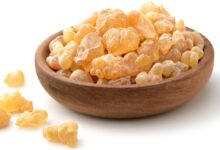 فوائد الصمغ العربي للكلى