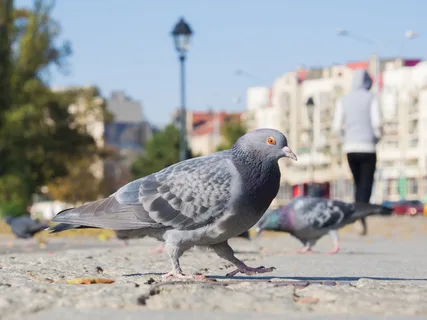 قصة خيالية قصيرة
