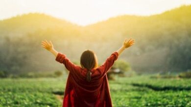 كلام جميل عن الحياة