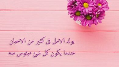 كلام جميل عن الحياة والامل