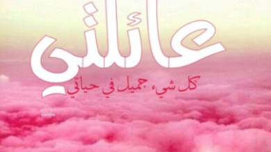 كلام عن العائلة