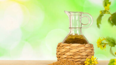 تجربتي مع زيت الخردل للشعر