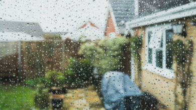 عبارات عن المطر