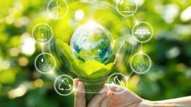 ما هي التنمية المستدامة